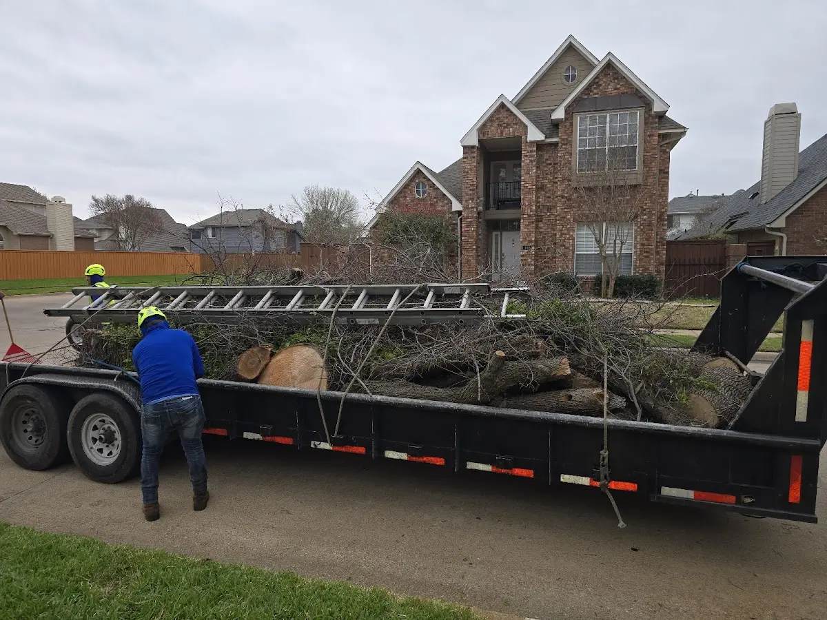 Expert Crown Reduction with proper safety equipment in Parkers Prairie